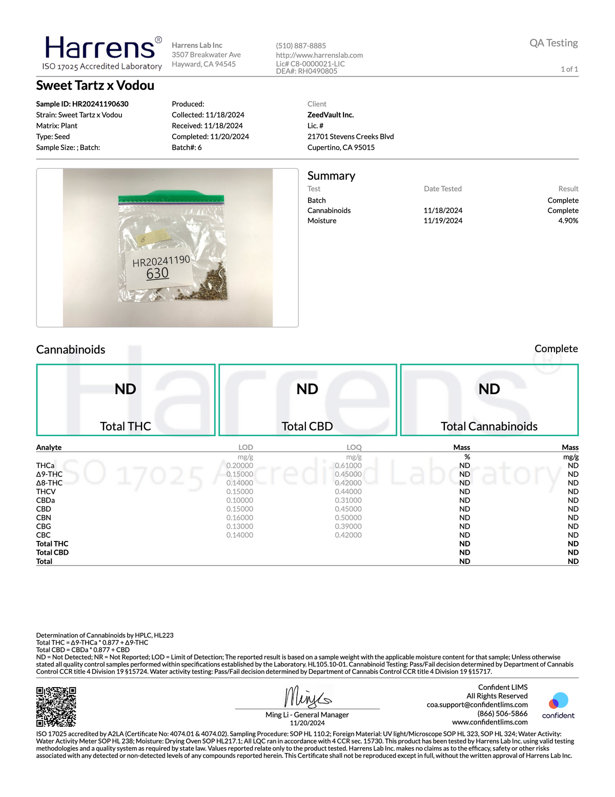 Grandiflora Genetics Terpnami - Blue Raspy 10 reg seeds