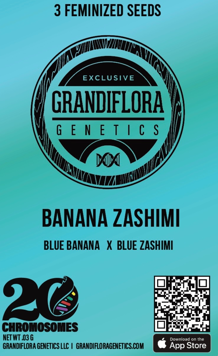 Grandiflora Genetics Banana Zashimi feminized 3 pack seeds