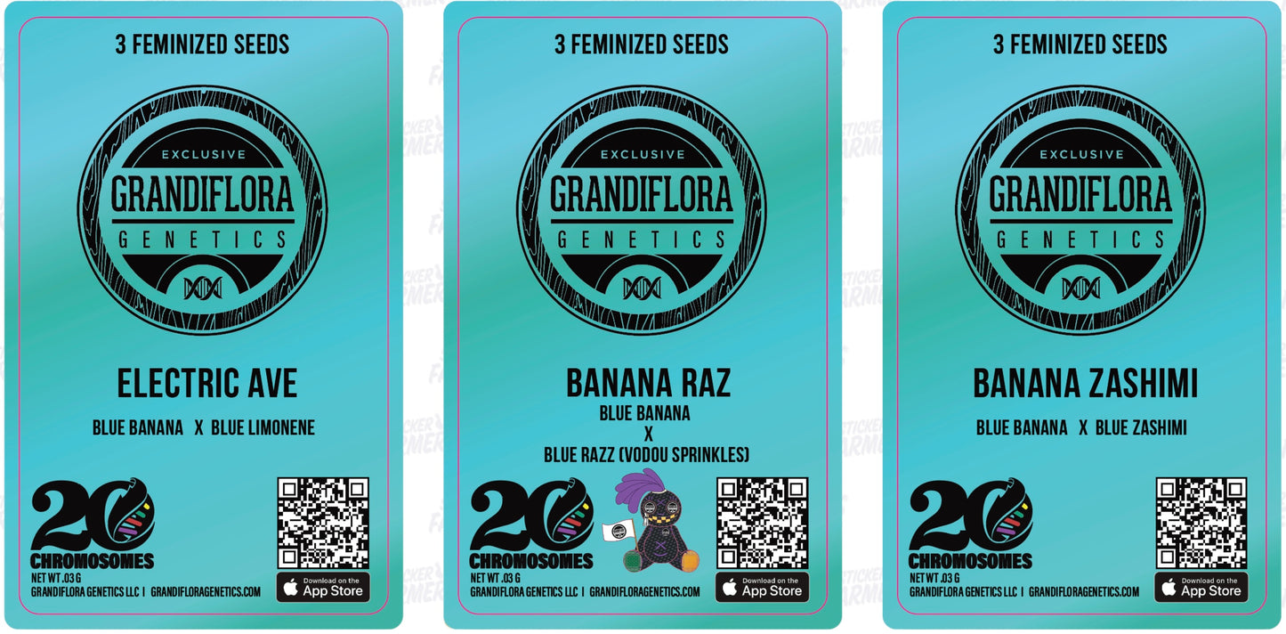 Blue Banana Super Cross Packs Set
