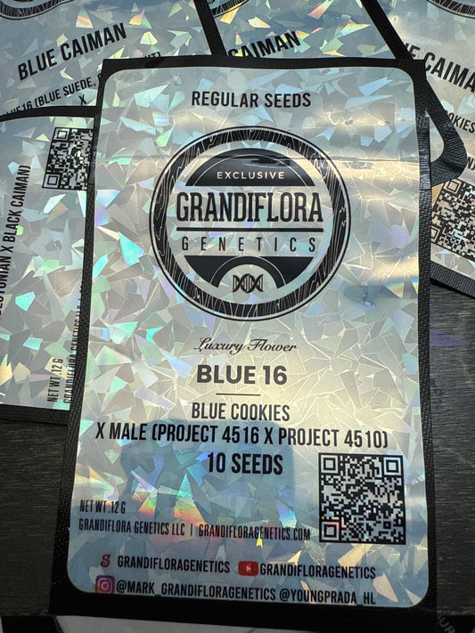 Grandiflora Genetics Signature Series - Blue16 10 pack
