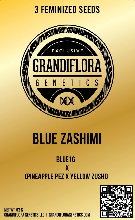 Grandiflora Genetics Blue Zashimi Feminized 3 Seed Pack Preorder