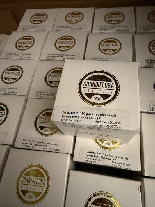 Grandiflora Genetics Blutonium - Oakland Piff (High80) 10 seed pack