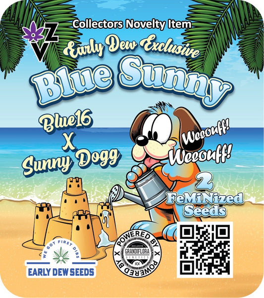 Blue Sunny 2 fem seed pack