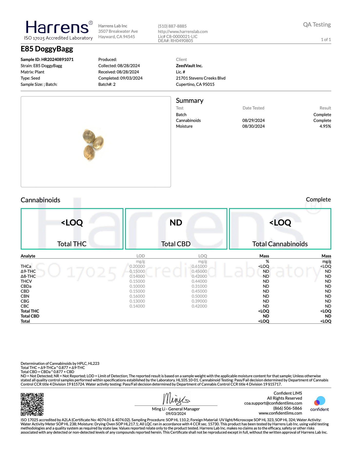 Grandiflora Genetics Signature Series - E85 x DoggyBagg 10 Pack