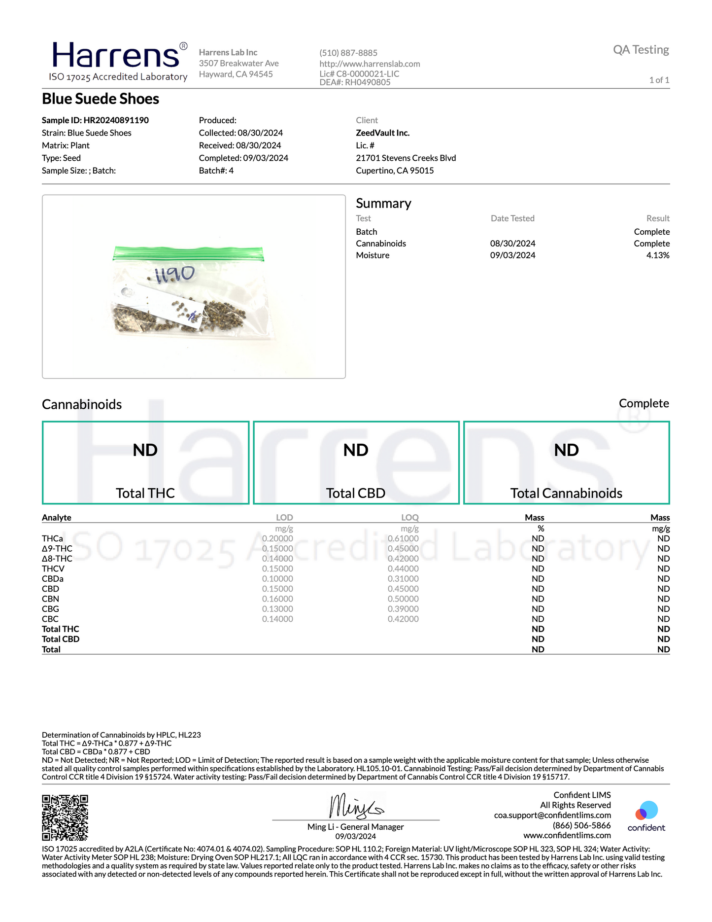 ZV House of Blue Suede Shoes 5 pack