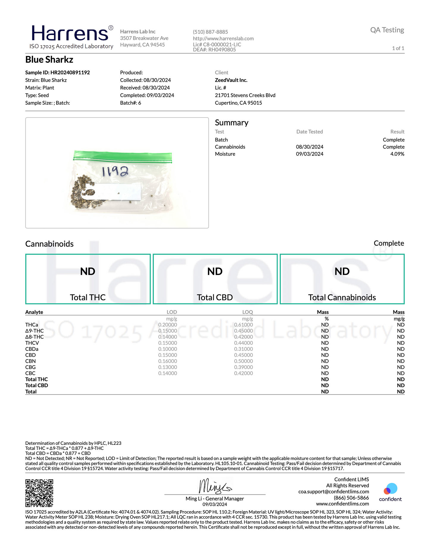 ZV House of Blue Sharkz 5 Pack