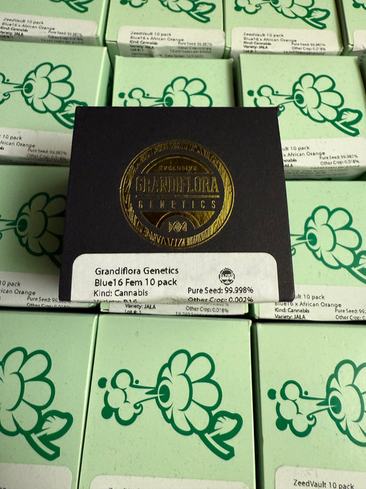 Grandiflora Genetics Signature Series - Blue16 Feminized 10 pack
