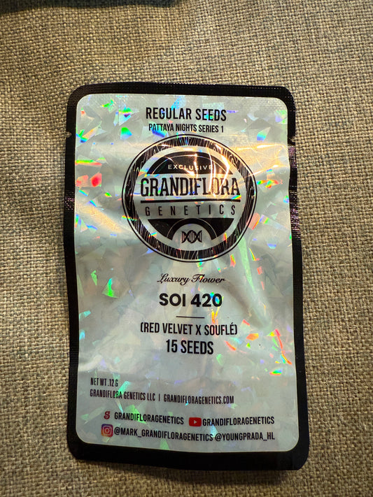 Grandiflora Genetics Pattaya Nights - Soi 420 10 Pack