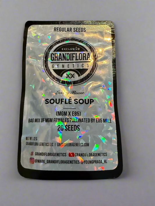 Grandiflora Genetics Souflé Soup 20 Pack