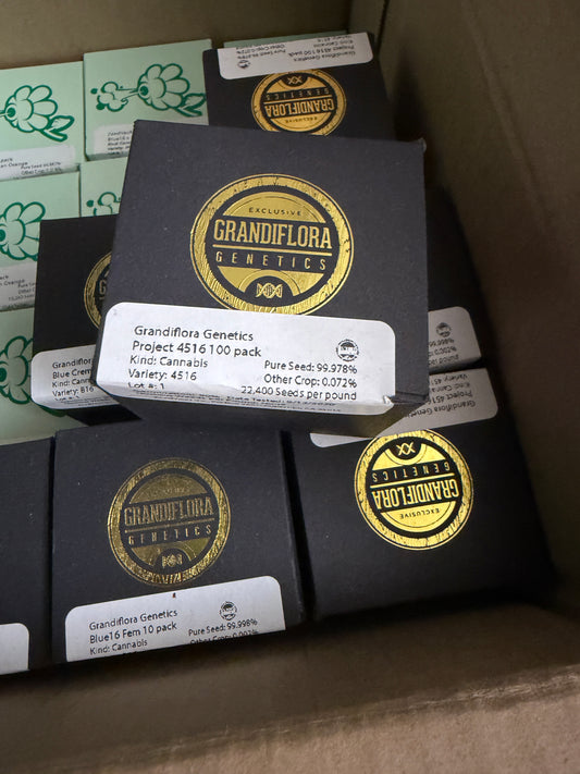 Grandiflora Genetics Signature Series - Project 4516 100 pack