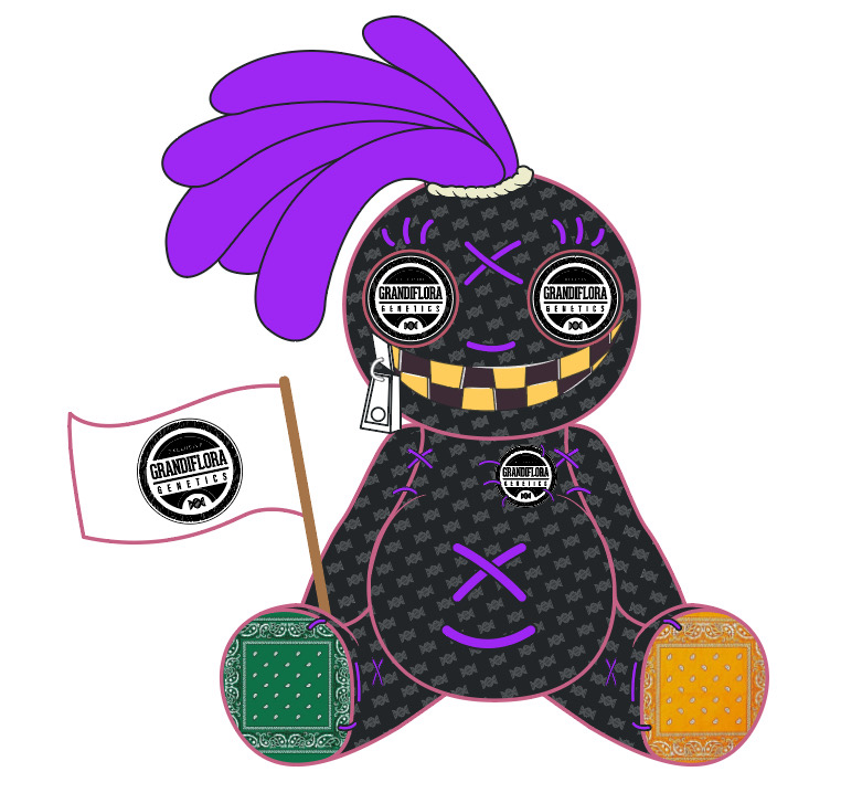 Grandiflora Genetics Vodou Sprinkles - KM11 x VS 10 pack