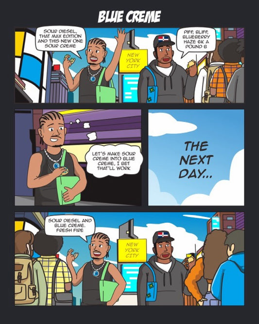 Grandiflora Genetics Grandma's Cookies - Blue Creme 10 fem seed pack