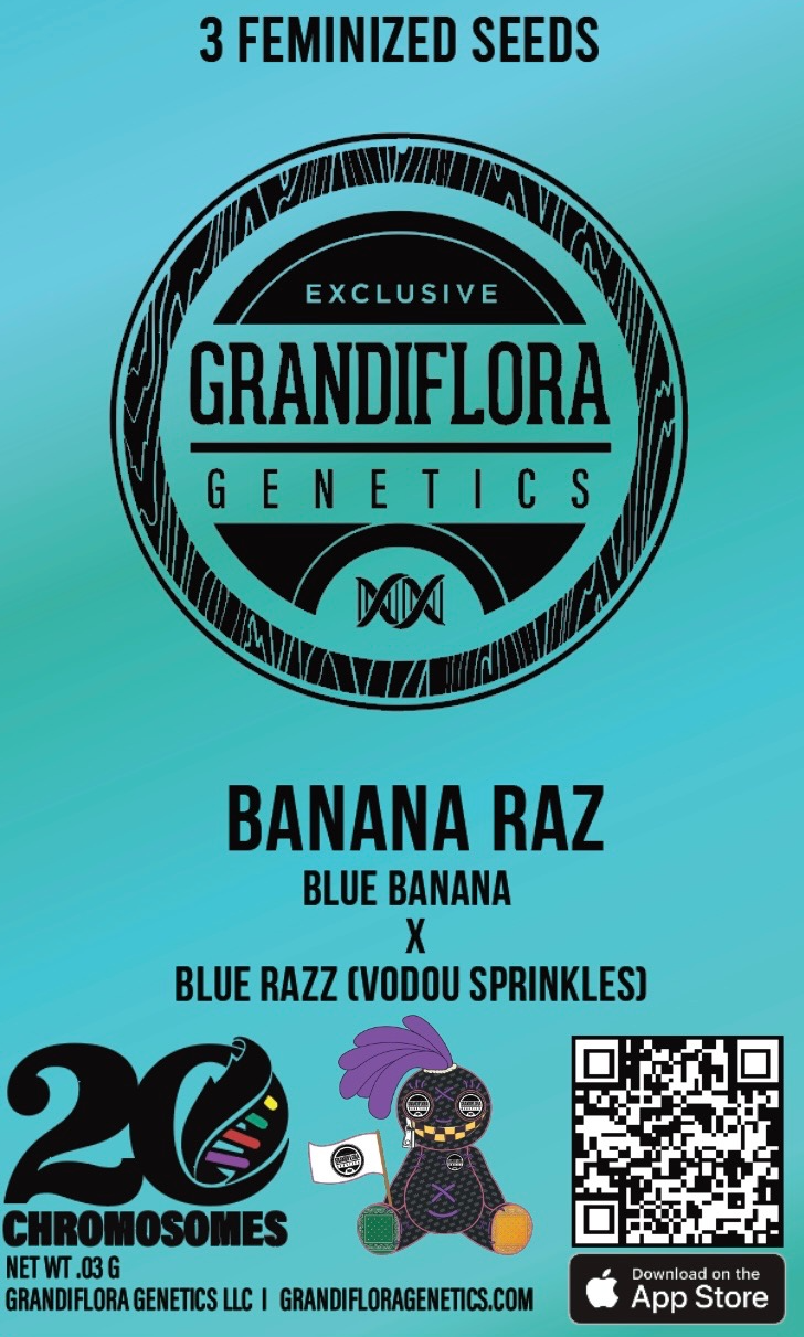 Grandiflora Genetics Banana Razz feminized 3 pack seeds