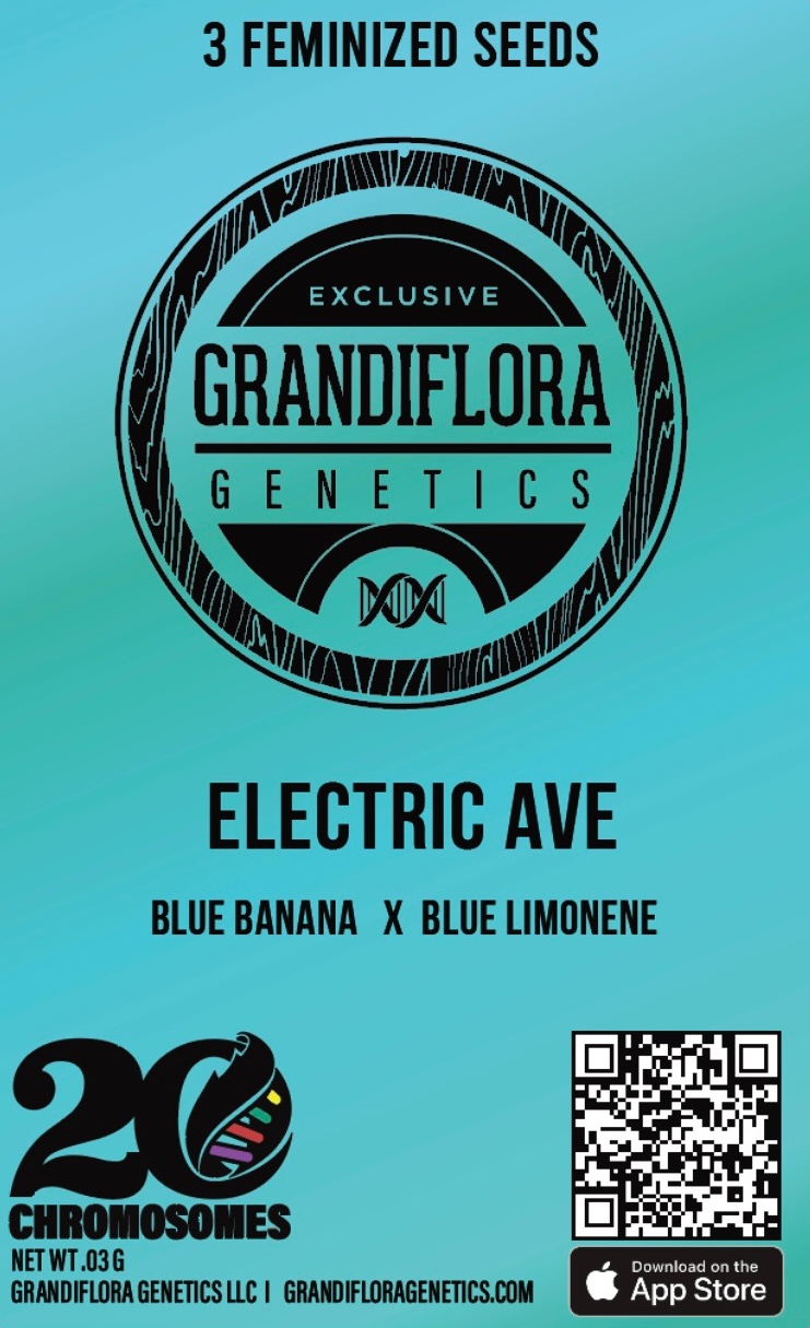 Grandiflora Genetics Electric Ave feminized 3 pack seeds