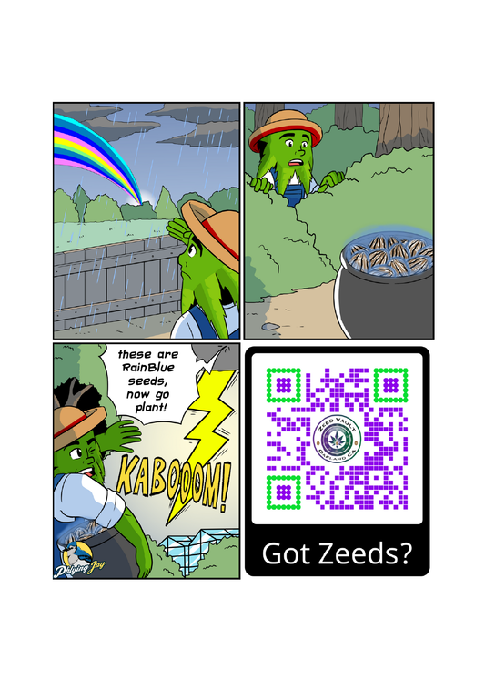 ZV House of Blue Rain 5 seed pack